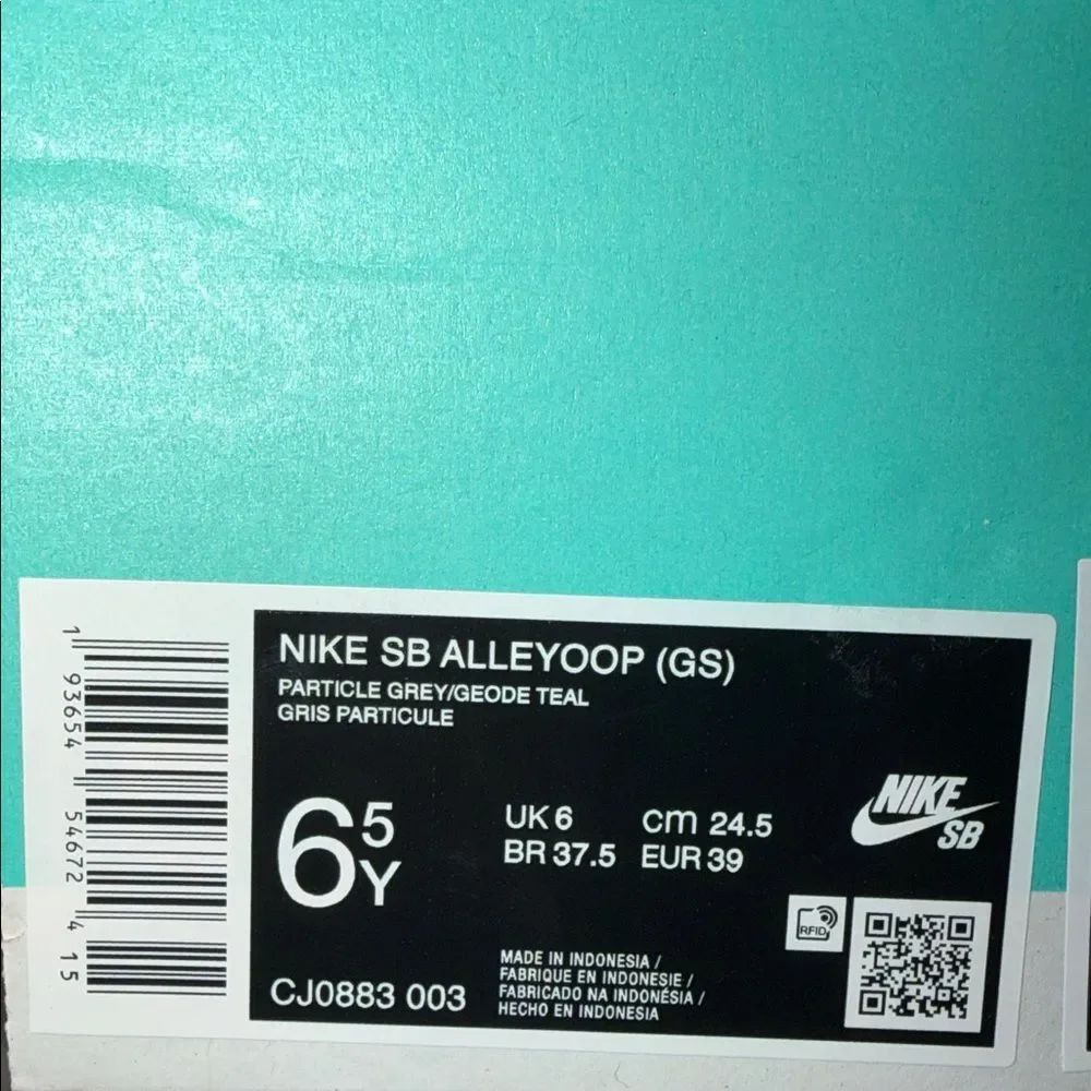 Nike SB Alleyoop GS Grey Teal  CJ0883-003 Size 6.5Y